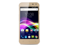 MYPHONE FUN 5 Złoty Dual Sim - 350801 - zdjęcie 1